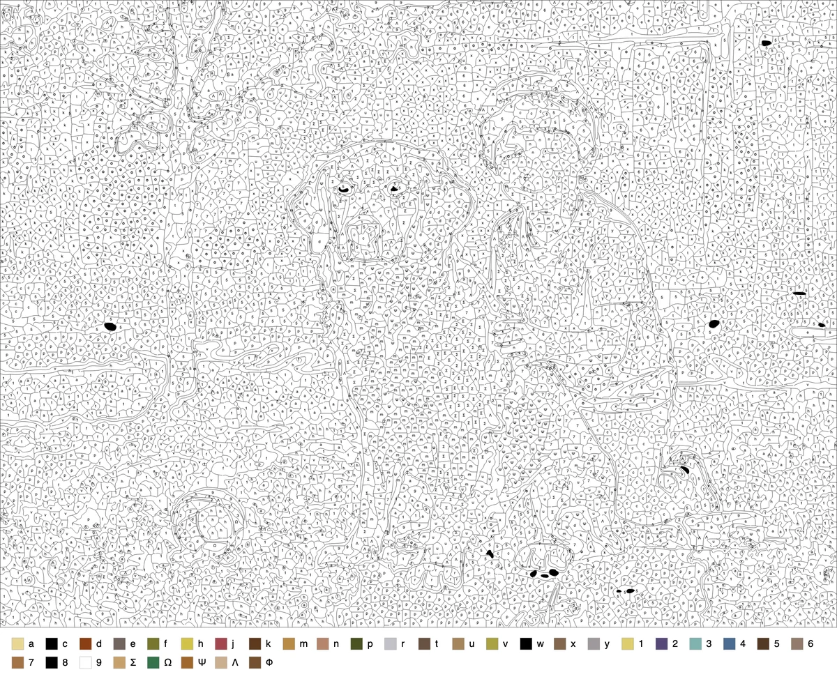 A color-by-number sheet with several hundred regions and 32 colours, generated from a photo of a golden retriever