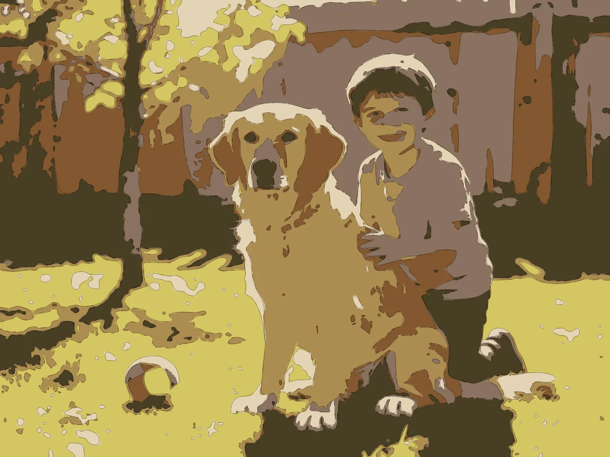 A boy and a golden retriever in a garden rendered at 6 colours with cells off and heavy smoothing: a flat, poster-like result that reads clearly despite losing the fur and grass texture