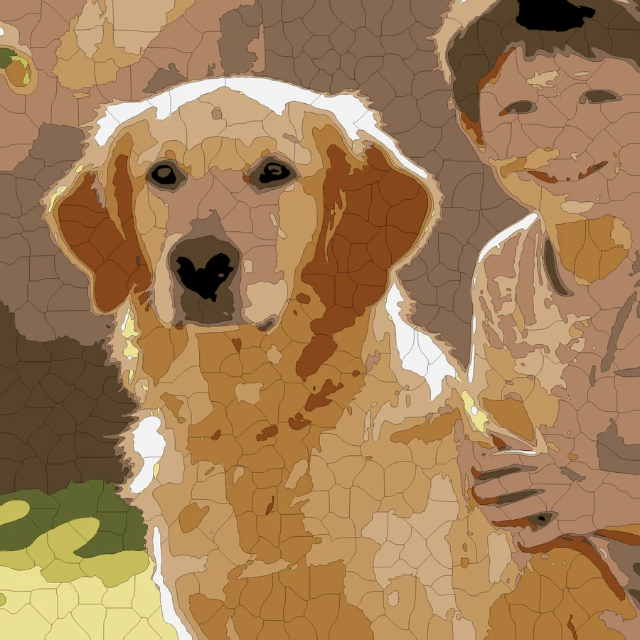The same dog rendered as flat colour regions, showing how the finished painting looks